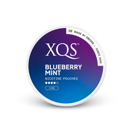 XQS Blueberry Mint Strong – dåse med nikotinposer